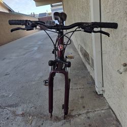 Schwinn Quality DSB Dual Sport Bike