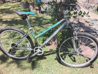 Nishiki Woman's MTB