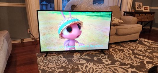 Vizio TV 58inch.