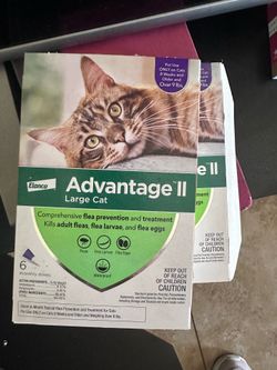 Advantage 2 for cats