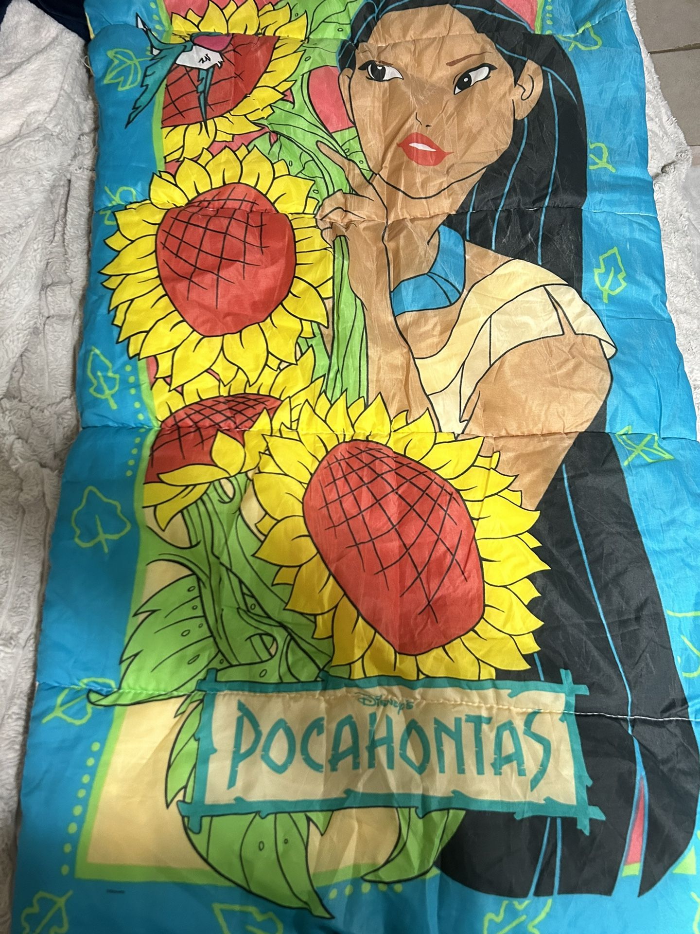 90s Pocahontas Sleeping Bag 