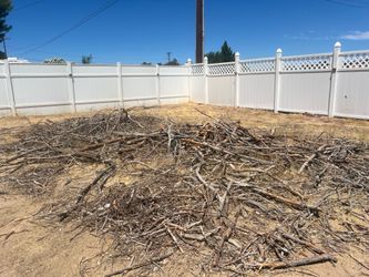 Free wood