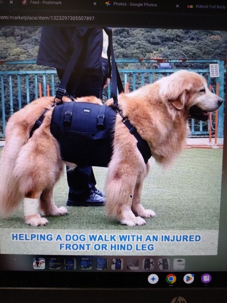 KOKOIE Full Body Size Large Dog Support Harness W/Handle & Strap Blue