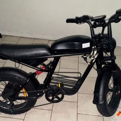 Electric Bike