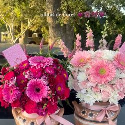 Olita’s Arrangement 
