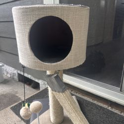 Cat Scratching Post 