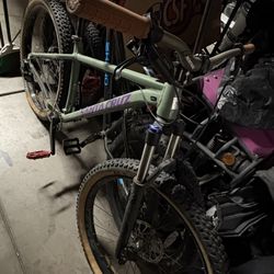 Santa Cruz Chameleon 