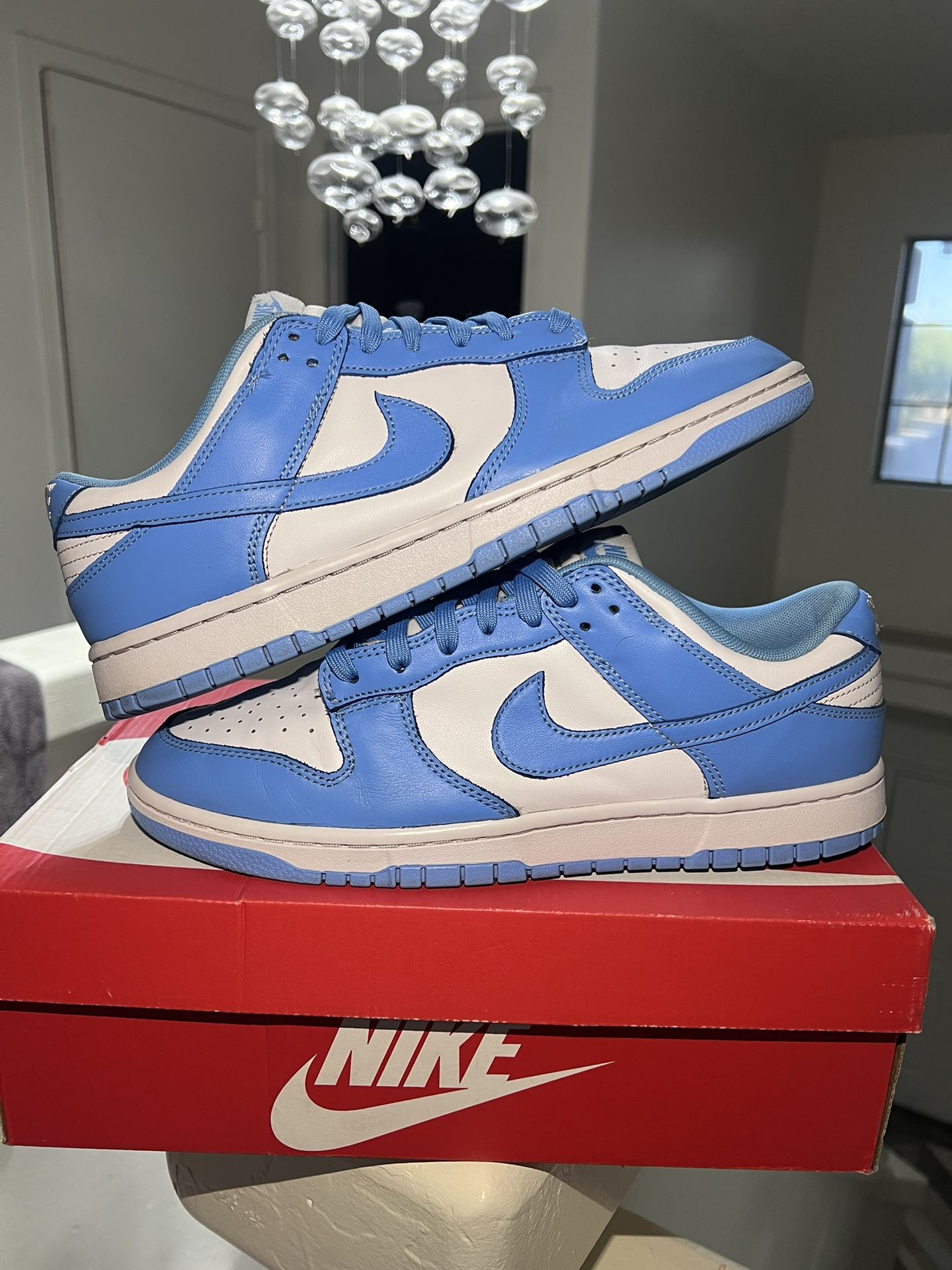 Nike Dunk Low UNC