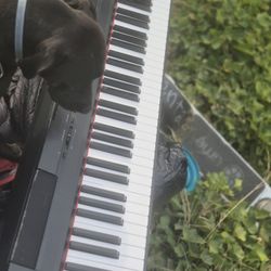 Yamaha Piano