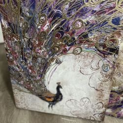 Set Of 2 Peacock Canvas 