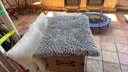 FREE pet bed