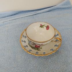 Vintage Enesco Cup & Saucer Floral Pattern