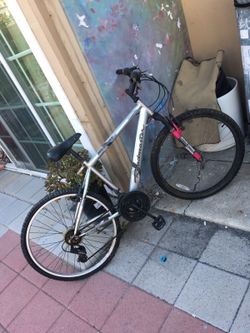 Roadmaster bike