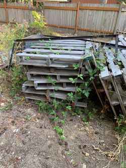 Lot of Wooden Pallets FREE