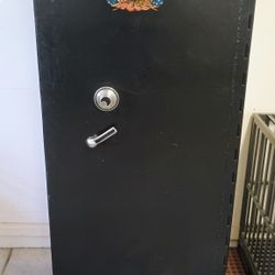 Cannon Co Gun Safe