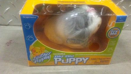 Zhu zhu puppy