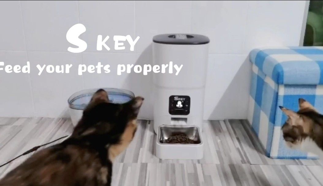 SKEY Smart Automatic Pet Feeder Cats/Dogs Small Food