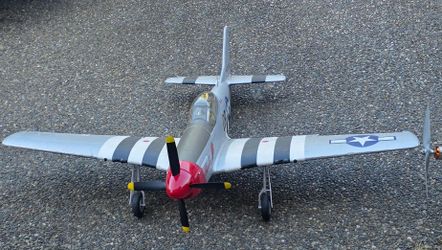 P51D BLONDIE
