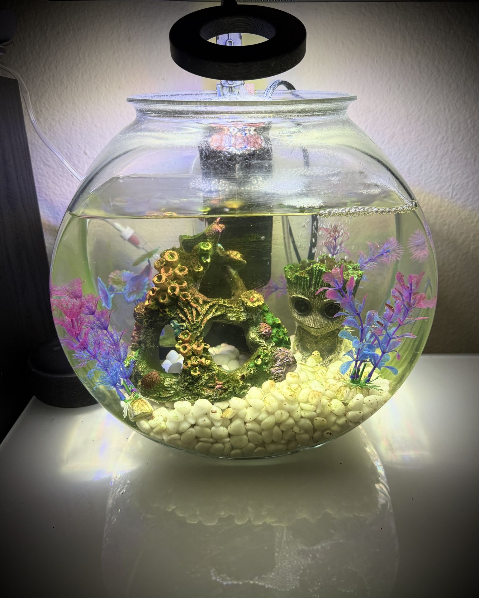Fish Tank