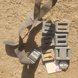 Dive weights & belt