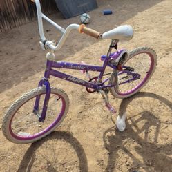20" Girl Bike