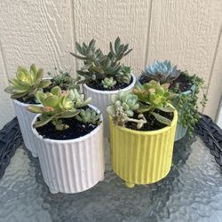 Teacher Appreciation Gifts