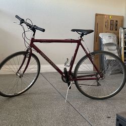 Cannondale Racing Bike