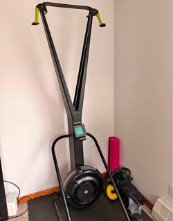Concept 2 Skierg + Stand