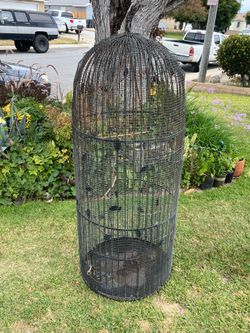 Large tall bird cage