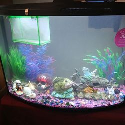 Fish Tank Plus Stand &  Accesories Complete Set Up 