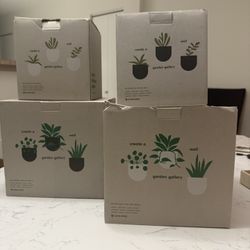 West Elm Ceramic Indoor/Outdoor Wall Planters 