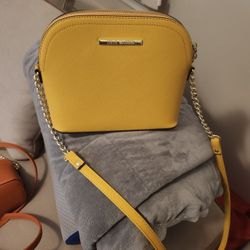 Cross body bag Steve Madden $18New
