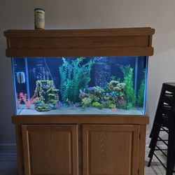 Fish Tank