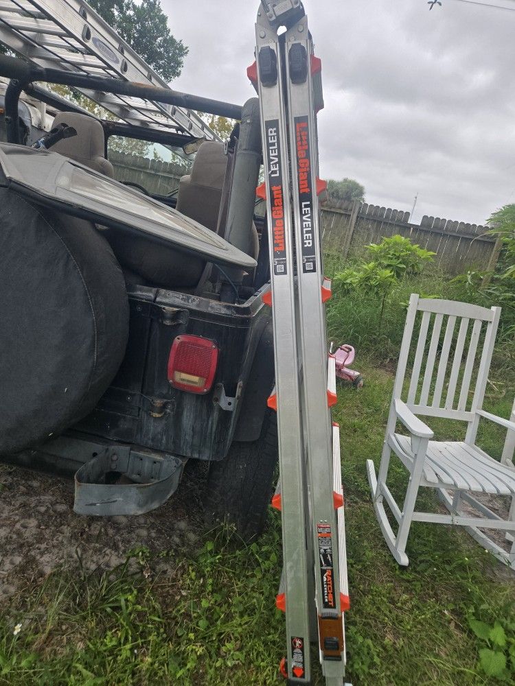 25' Ladder 