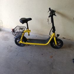 Electric Scooter 