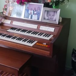 Organ And Bench