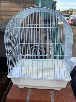 Small bird cage