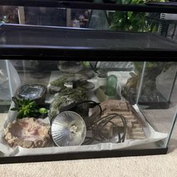 Reptile Enclosure & Accessories