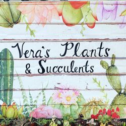 Succulent And Plant Sale 