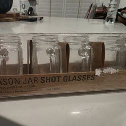 mini shot shot glass mason jar set