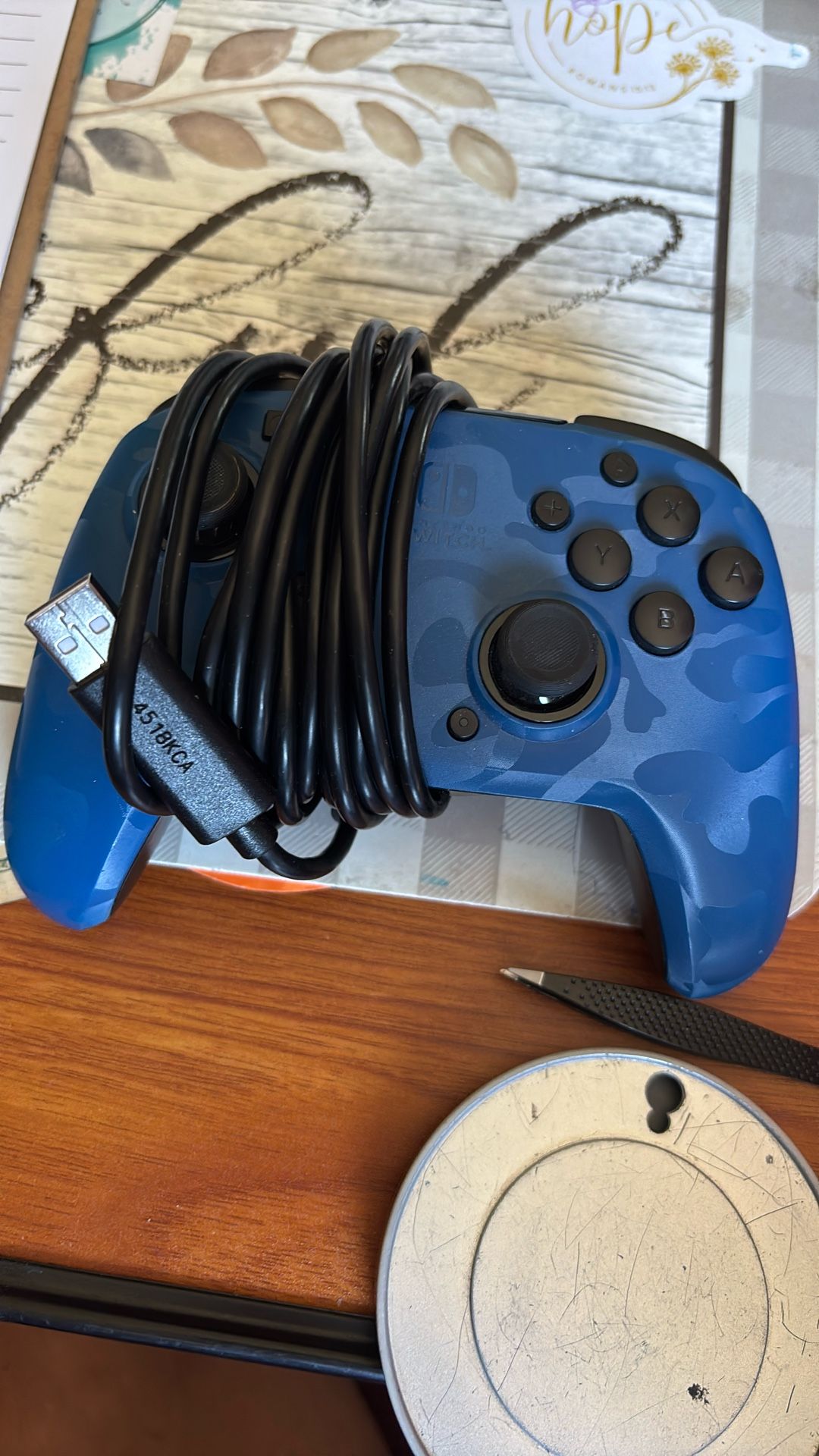 Ninetendo Switch Controller