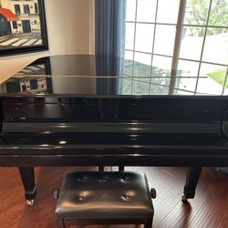 Baby Grand Piano For Sale