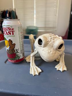 Small frog skeleton