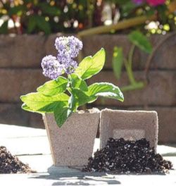 Garden items