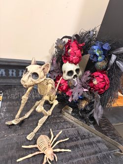 🖤💀 Gothic Halloween Décor Bundle Skull Wreath, Skeleton Animals, Signs & NEW Backdrop OBO
