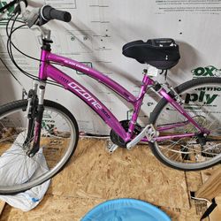 Ladies Bike 