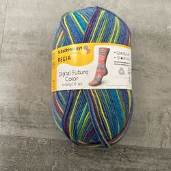 Sock Yarn-Regia Digital Future Color 6-ply