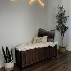 Shoe Storage/Bench