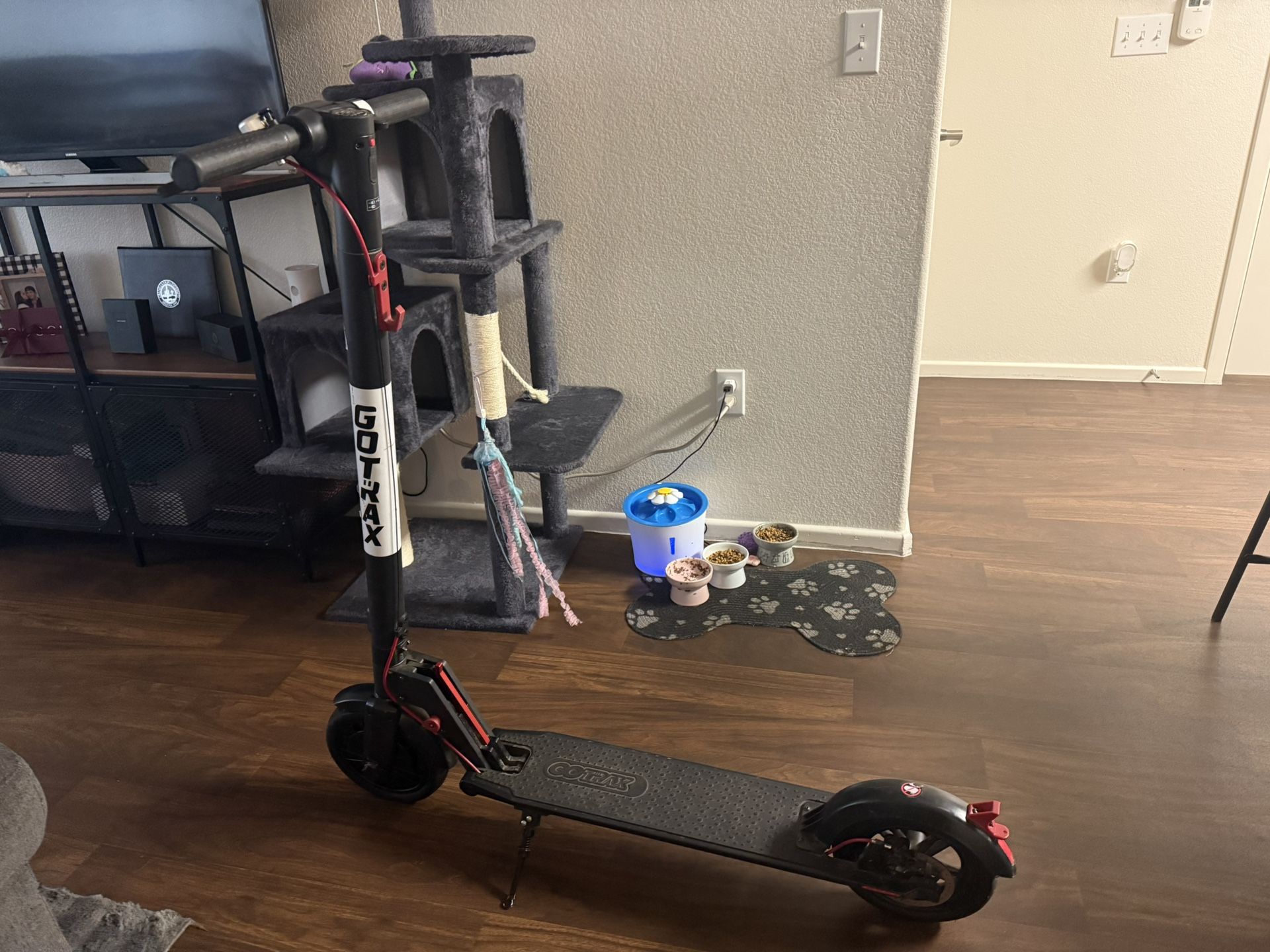 Gotrax Scooter