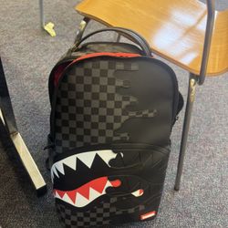 spray-ground backpack